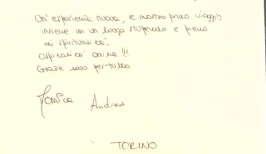 Torino 7