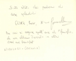 Nicolosi - (CT)