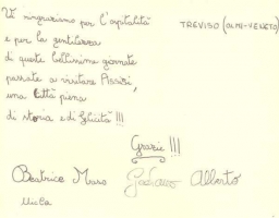 Olmi di Treviso